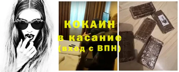 гашик Алзамай
