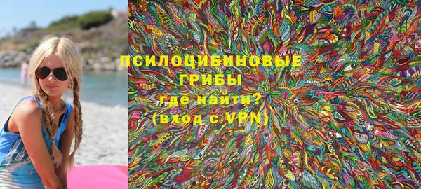 спайс Алексин