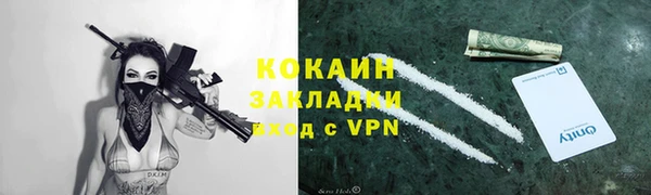гашик Алзамай