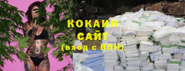 гашик Алзамай