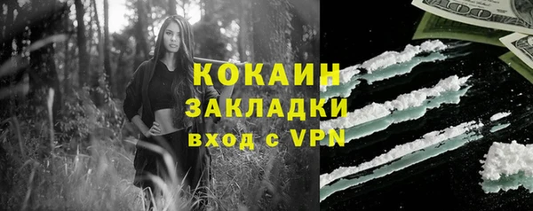 спайс Алексин
