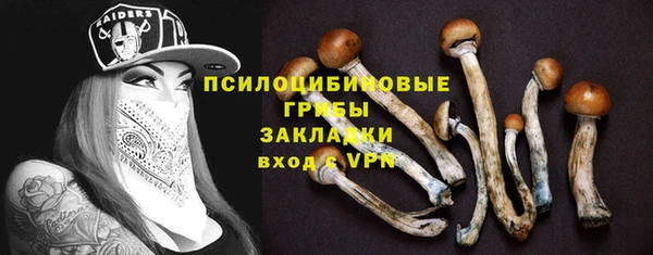 гашик Алзамай