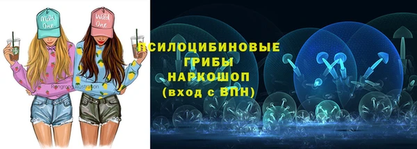 спайс Алексин